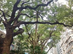-海港城