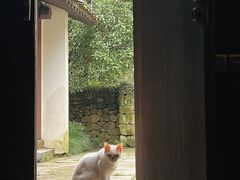 -法云安缦酒店