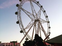 -墨尔本之星 观景摩天轮