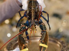 -Le Bistrot de Racine