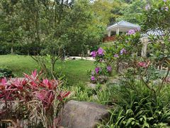 -火炉山森林公园