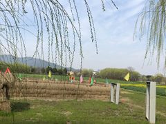 景点-长兴太湖图影湿地文化园