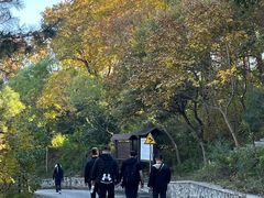 -北京鹫峰国家森林公园