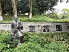 -东莞植物园