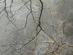 -北高峰