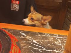 -蜀辣居鲜货老火锅(红牌楼店)