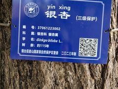 -无染寺