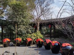 -巡塘古镇
