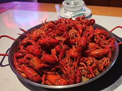-海岛八号龙虾烧烤田鸡(蓝天路总店)