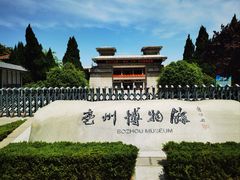-亳州博物馆