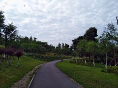 -白鹭湾湿地公园