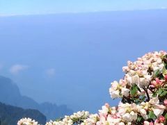 -峨眉山风景名胜区
