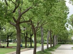 -新江湾城公园