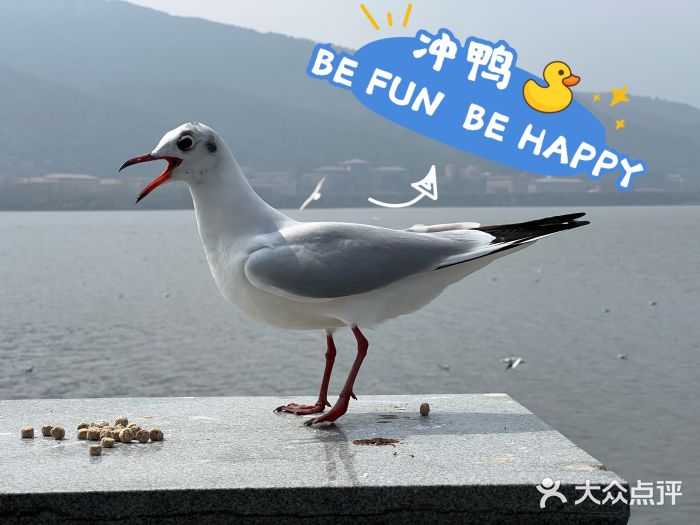 海埂大坝图片