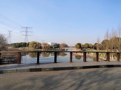 -九里河湿地公园