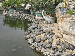 -八景休閒山莊  廣東十大名山莊