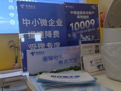 -中国电信(光谷创业街营业厅)