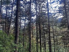 -北京密云天门山风景区