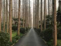 -上海怡沁园度假酒店