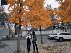 -山东师范大学(千佛山校区)