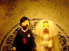 -济州岛泰迪熊博物馆