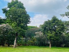-顺峰山公园