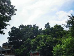 -荔湾湖公园