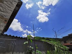 -黄贤森林公园
