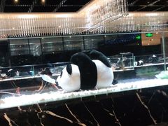 -红辣椒·川菜·火锅(张杨路店)