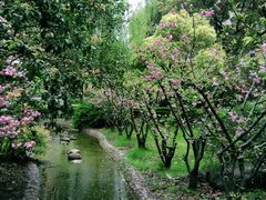 -花草间花行(法华镇路店)