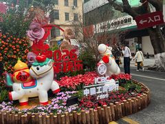 -越秀西湖花市(广州城市广场花卉店)
