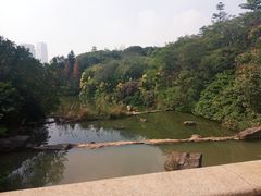 -云溪植物园