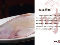 8.长江回鱼_00000-一品江鲜