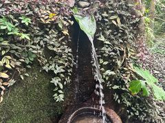 -呀诺达热带雨林