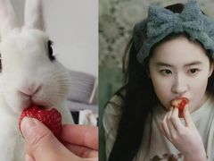 -TSK齿科德申会口腔门诊·联洋诊所