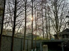 -中国美术学院-美术馆