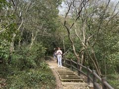 -上海佘山国家森林公园天马山园