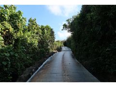 -三亚蜈支洲岛旅游区