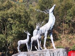 -长沙黑麋峰国家森林公园