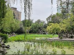 -莲湖公园