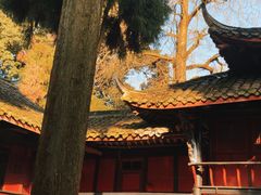 -青城山