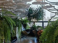 -哈尔滨圣安口腔专科医院