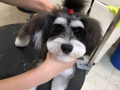 -多卡布奇宠物生活馆(上林世家店)