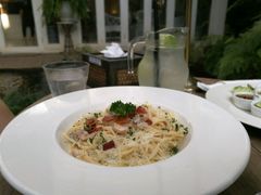 -Fern Forest Cafe