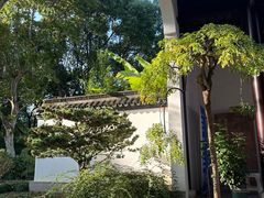 -上海醉白池公园