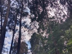 -寂照庵