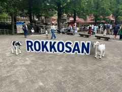 -神户市立六甲山牧场