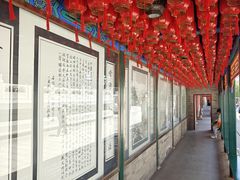 -天津大悲禅院