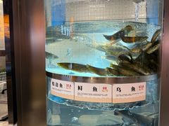 -老船舫·现做活鲜鱼馆(东郊记忆店)