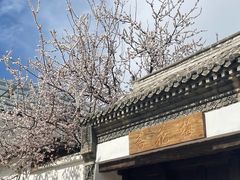 -辛庄国际文化艺术区
